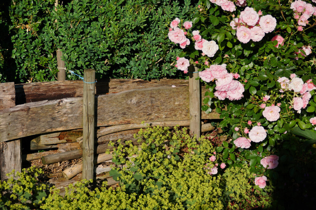 Gartengestaltung mit Todholz und Rosen Bepflanzung als stilvolle Elemente im Naturgarten